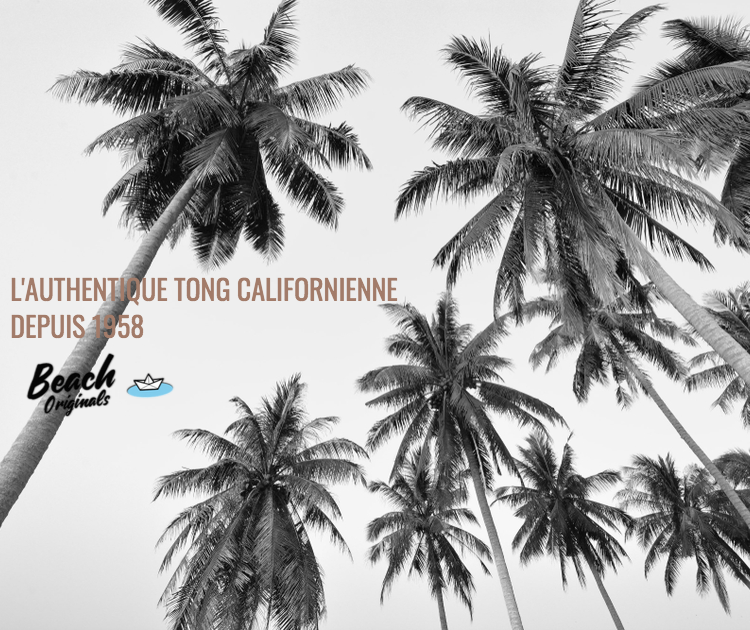page mobile bureau Beach Originals sur fond de palmiers, texte couleur marron coconuts et logo