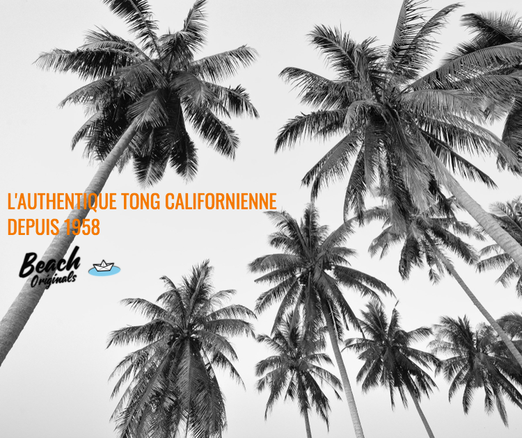 page mobile bureau Beach Originals sur fond de palmiers, texte couleur orange california et logo