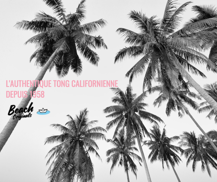 page mobile bureau Beach Originals sur fond de palmiers, texte couleur rose bubblegum et logo