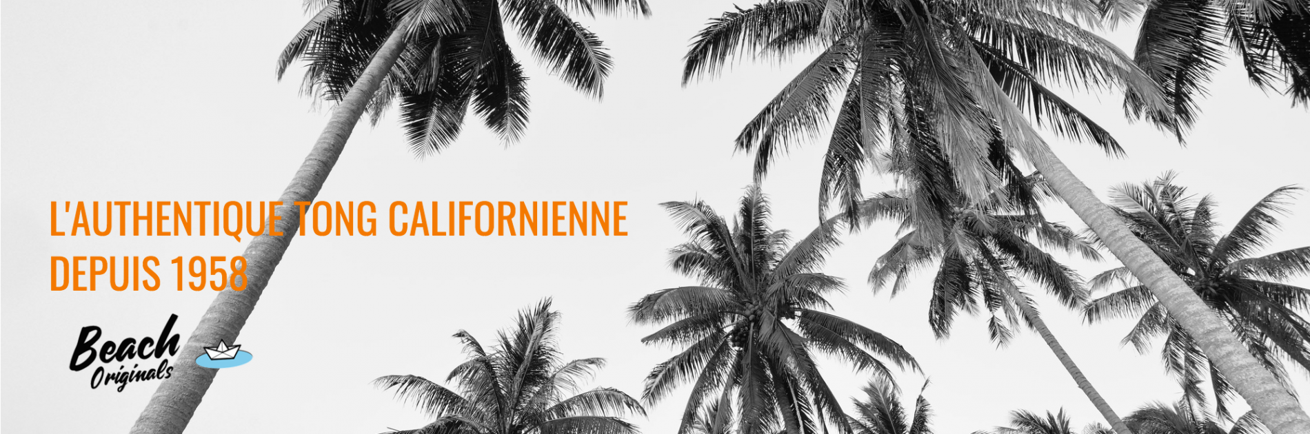 page d'accueil bureau Beach Originals sur fond de palmiers, texte couleur orange california et logo